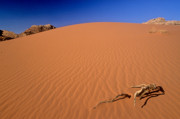 5 - Wadi Rum